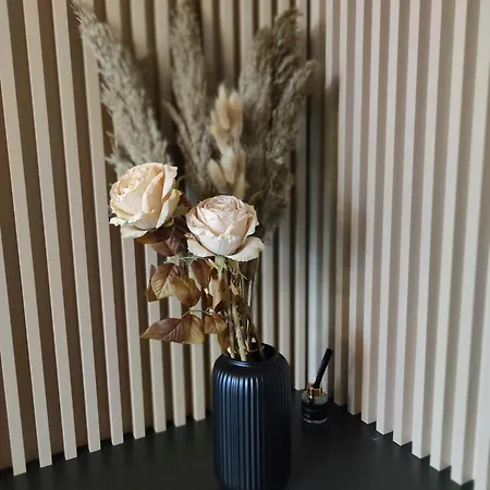 Apartamento Deluxe Rezidencija